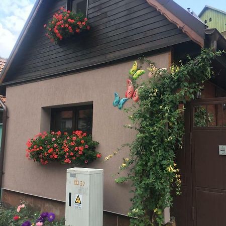 Maison Rosmina Braşov Exterior foto