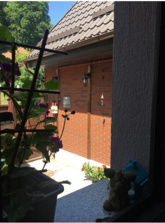 Maison Rosmina Braşov Exterior foto